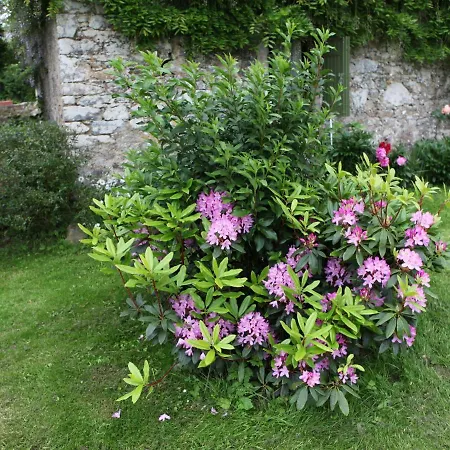 Holiday home Holiday Home With Large Garden
